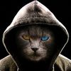 andriybabiy02
