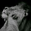 imanov_sadiq15