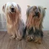 jucanope