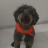 josemacfer