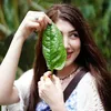 dunya.yasir