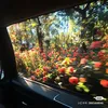 cativysap20t
