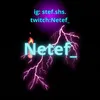 netef25