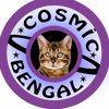 🐾🐆 CosmicBengal 🐆🐾