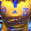 auritigre