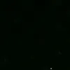 user29011083b