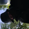 ganster08261