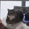 miger_jack