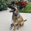 my_girl_kali