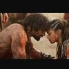 spartacuscrixus