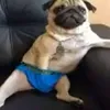 sd3000000