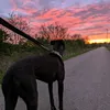 anythingoutdoors1