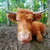 farmerbw