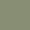 turtle_1412