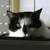 aline_bnr10