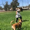 dodgerdoggie76