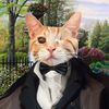 unstoppablewhiskers