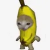 bananacat12345678910
