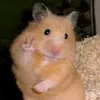 losgannan