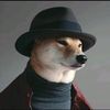 shiba_inu72