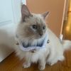 otisforpotus2028
