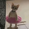 ballerinababananana