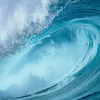 user8943413128018