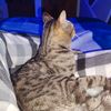 maik_9372