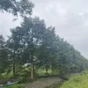 vunguyen361