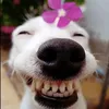 nhutham_cuteday