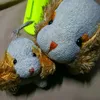 pumpui_9889