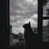 _lntd.8
