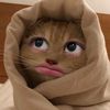 ashdj_