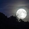 grae_moon