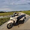 ensy_sy