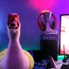 ducktake