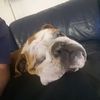 brianbj2310