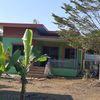 imeanacarpet5