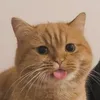 xixilo__