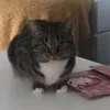 jakkobbsss