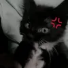 kkwffq