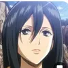 mikasa19755