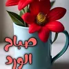 abuhala91