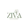 flower_ziva
