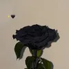 perempuanbiasa.19