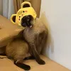 pongpin_