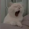 ceeiokjhhgf