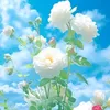 user03455341