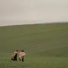asraa_44