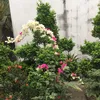 thaibao131